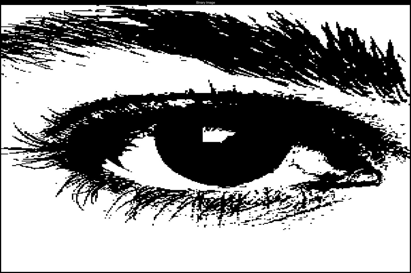 Eye thresholded to black and white
