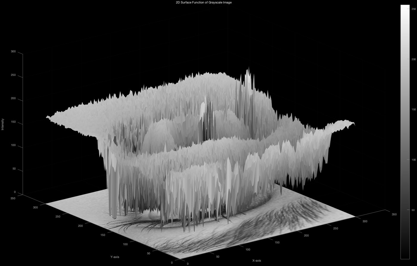 3D surface plot of the grayscale eye