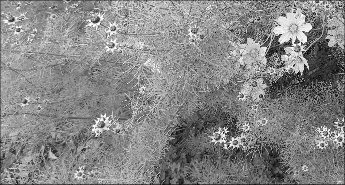 Contrast spreading (before)