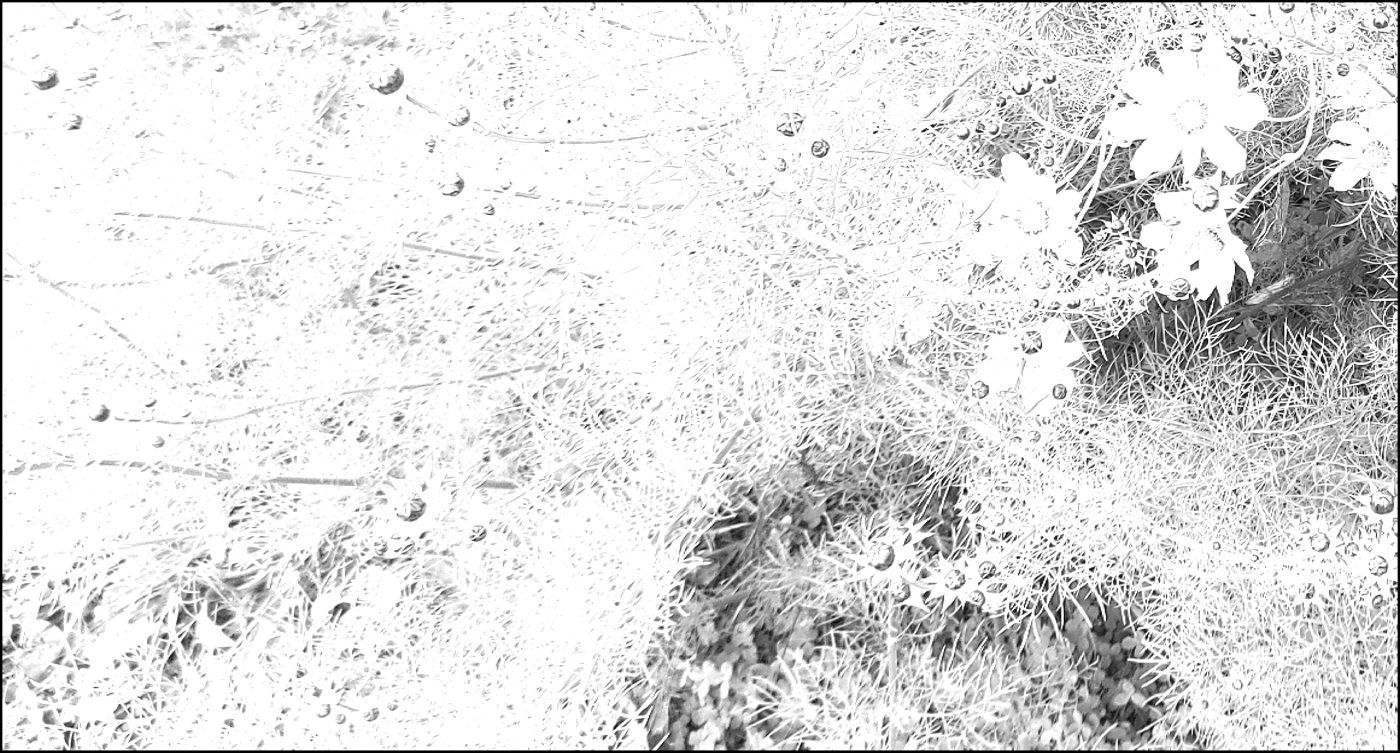 Contrast spreading (after)